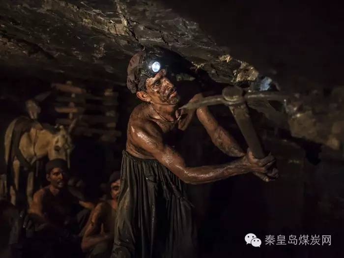 在巴基斯坦蔡赛丹沙阿这个矿,工人们用镐头挖煤,然后敲碎它,放到驴背