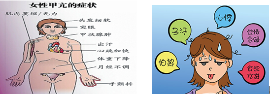 甲亢女性患者如何科学备孕?