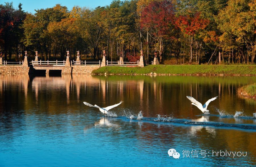 【十一活动】十月份哈尔滨还有青山绿水吗?