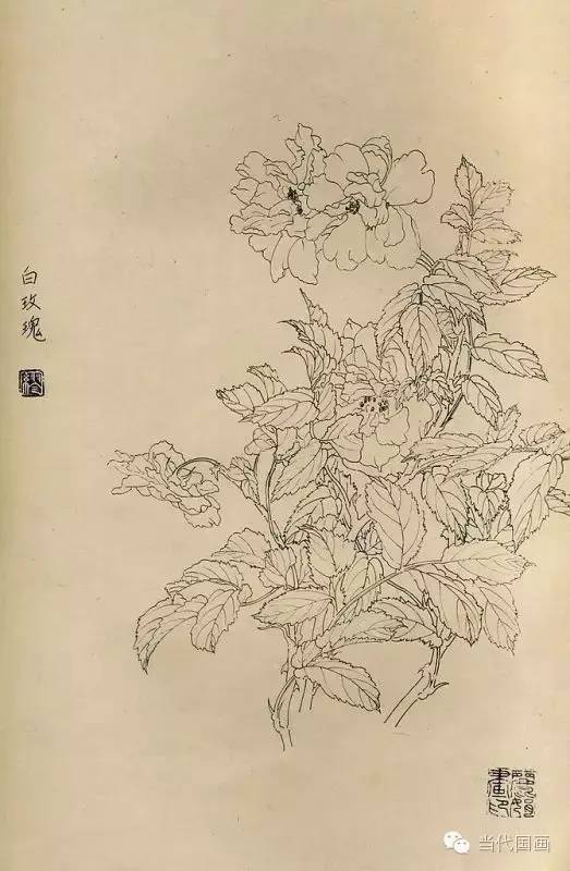 白描画百花图谱大全