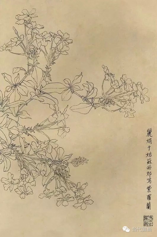 白描画百花图谱大全