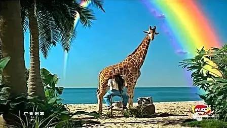 吃彩虹,拉彩虹糖粑粑的长颈鹿,下彩虹糖雨,树洞里碰出彩虹糖…彩虹