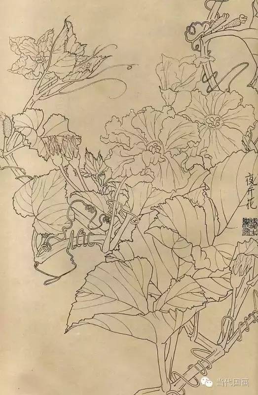 白描画百花图谱大全