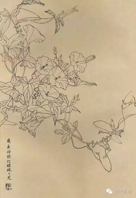 白描画百花图谱大全