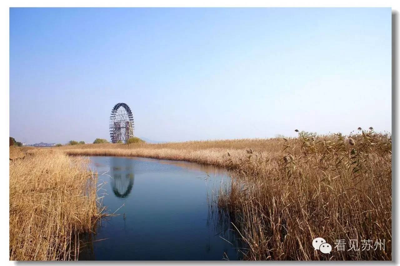 苏州太湖湿地公园(位于镇湖)