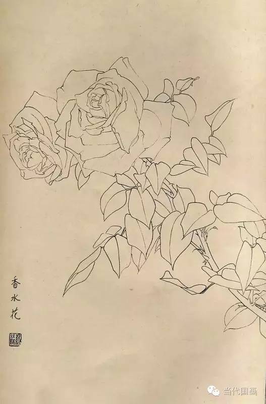 白描画百花图谱大全