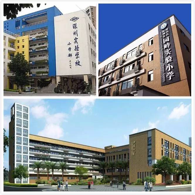 在书香园岭中,坐落着荔园小学,园岭小学,百花小学,红岭中学,深圳市