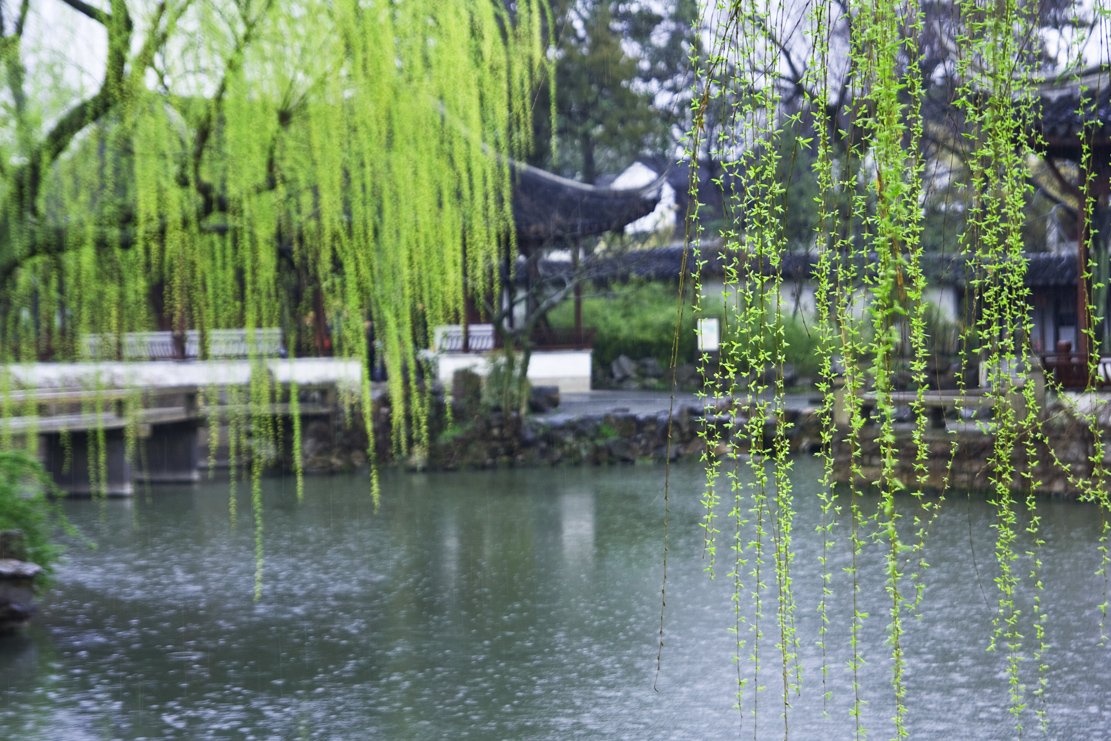 春雨江南