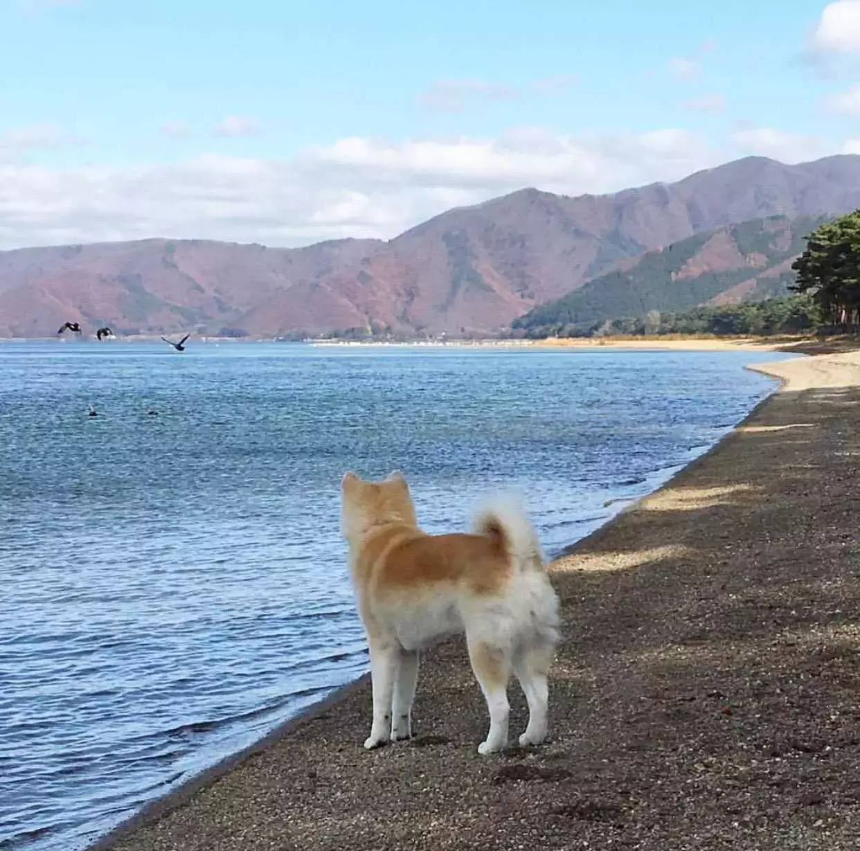 不懂赚钱逻辑,你永远都是社会最底层!