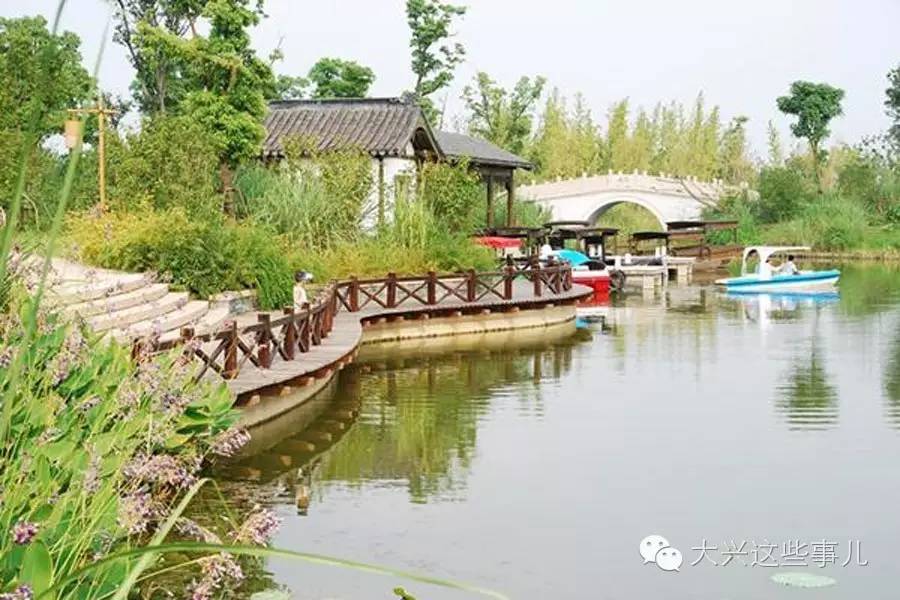 汉石桥湿地,翠湖湿地,以及近几年新恢复的房山长沟湿地,大兴长子营