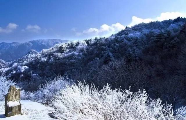 神秘的秦岭最高峰:仙境般的世外桃源,比太白山还要高出一千多米!