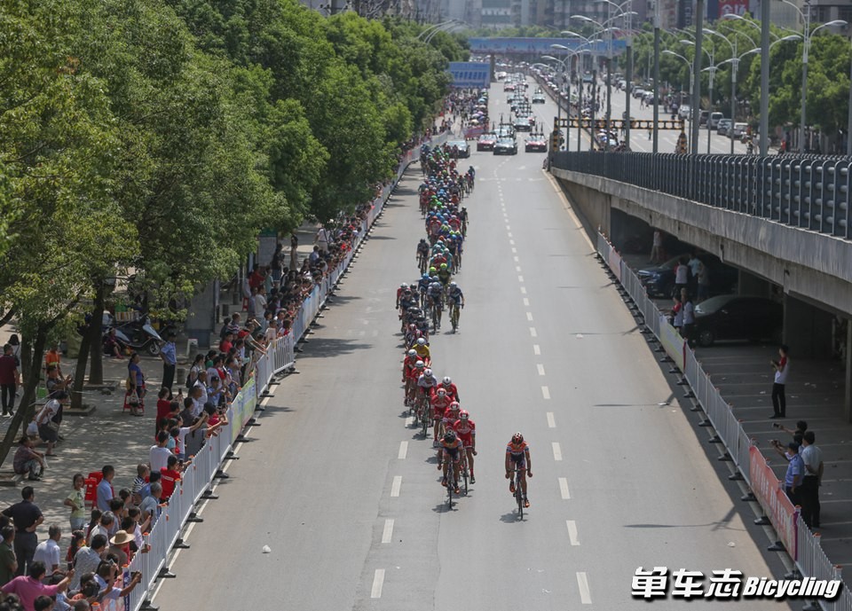 阳新县人口_...闻网鄂东频道 阳新万人祭奠先烈