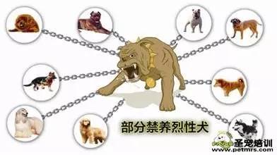 任何人不准养狗,有证无证犬一律砸死?苏州一小