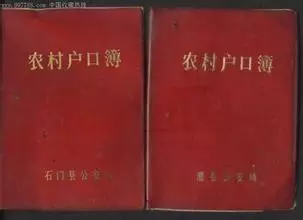 吉林省农村人口比例_从长春经开说起 吉林楼市会否步厦门后尘(2)