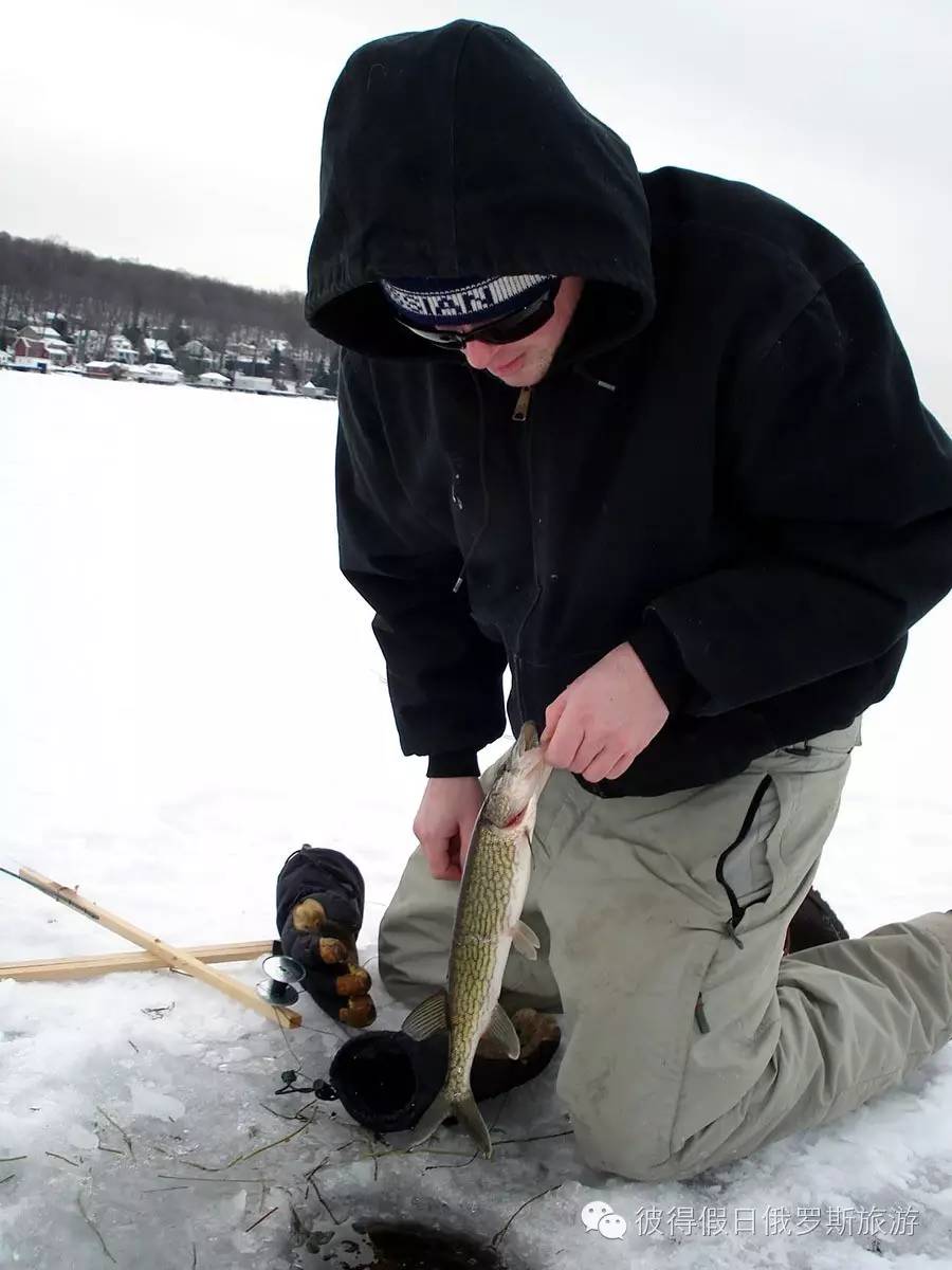 摩尔曼斯克的另一种休闲活动 - 冰上钓鱼