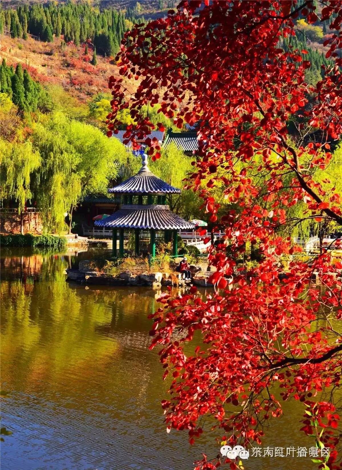 济南红叶谷景区邀你来红叶节赏漫山红叶!