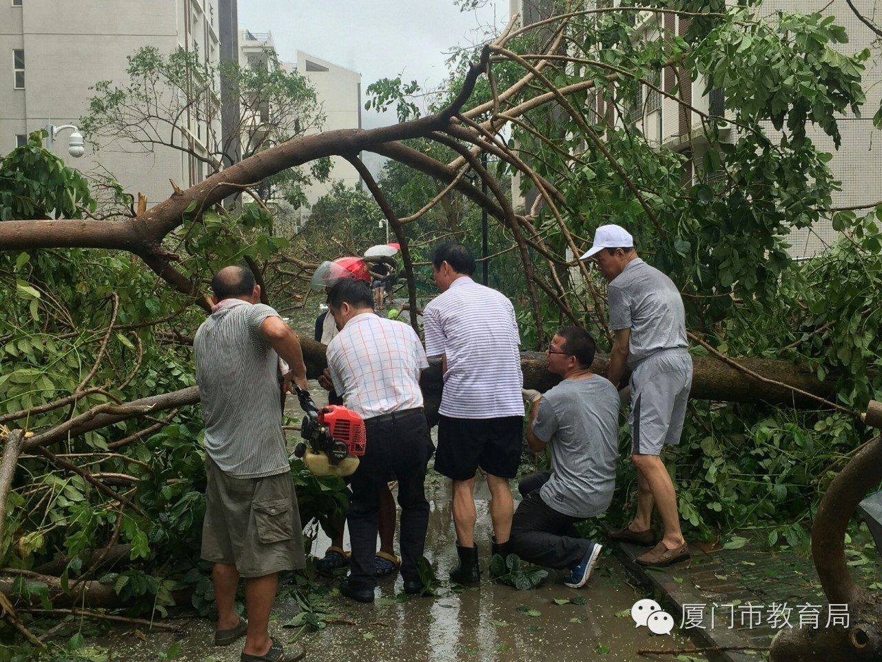 记录抗击台风莫兰蒂厦门教育继续行动