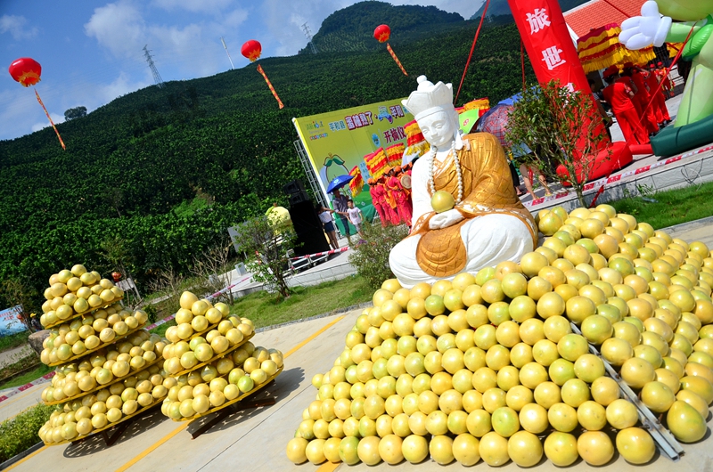 漳州温和--摘蜜柚、朝拜三平寺一日游