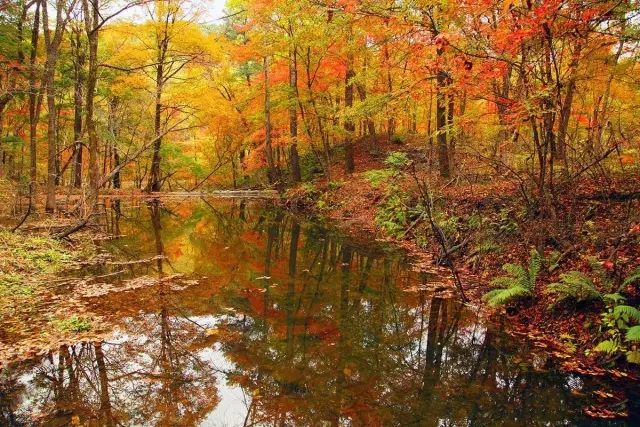 将来30天最美的地方，藏着一个五彩斑斓的秋！