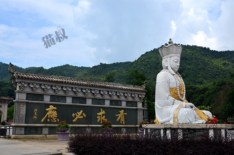 漳州温和--摘蜜柚、朝拜三平寺一日游