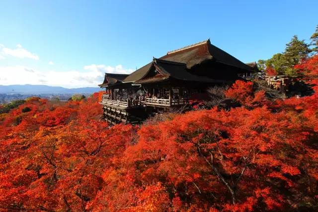 日本10大超人气赏枫圣地,这里的红叶比童话更