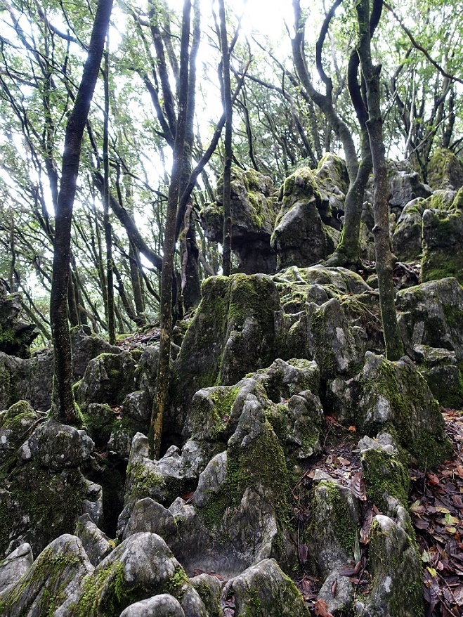 绝壁栈道金佛山