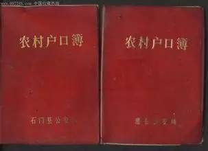 吉林省农村人口比例_从长春经开说起 吉林楼市会否步厦门后尘(2)