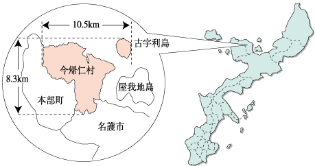 日本历史人口变化_日本人脑袋后面的两块布条是什么 虽然很丑,但很有用处(2)