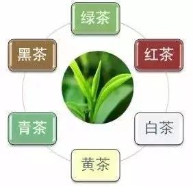 中国六大茶类性质介绍