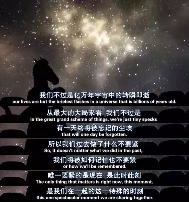 生活不该将就,人生就这么长,我总得按着自己的心来走.