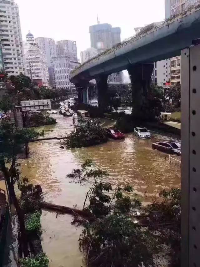 摄影师冒死拍摄莫兰蒂登陆恰似一部灾难大片