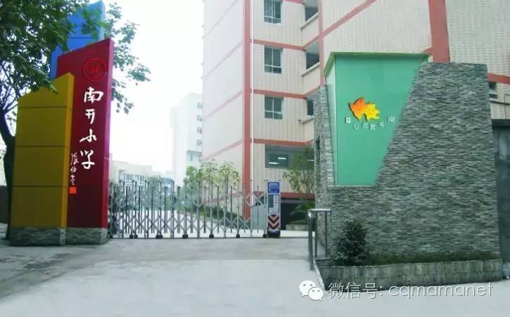 重庆最好的小学是哪所?我们说了不算,来看看全