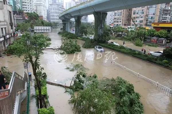 厦门湖滨北路常驻人口_厦门速度引发央媒惊叹 经过台风才知道 厦门最美的风(3)