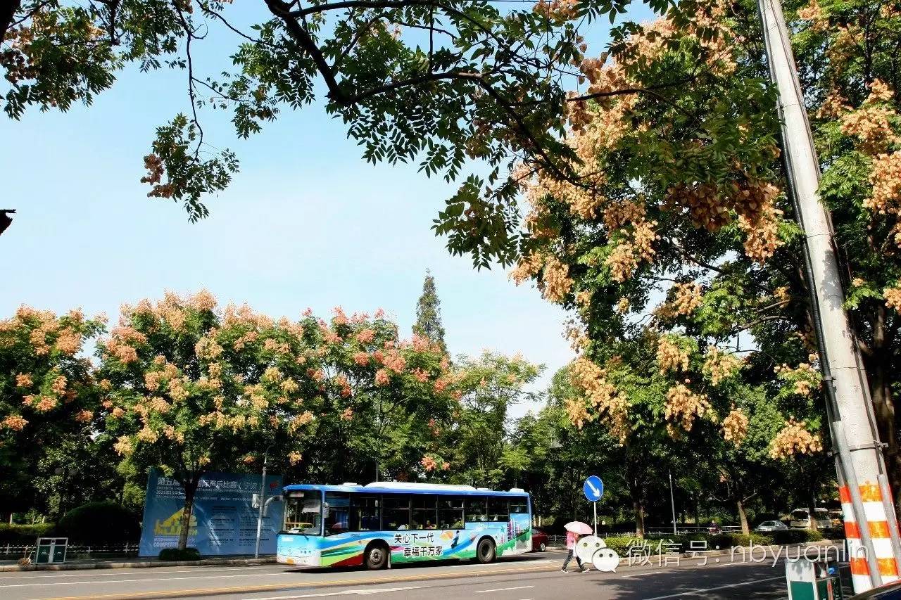 鄞州区:锦寓路,四明路 镇海区:中官路 北仑区:黄山路(新大—凤洋