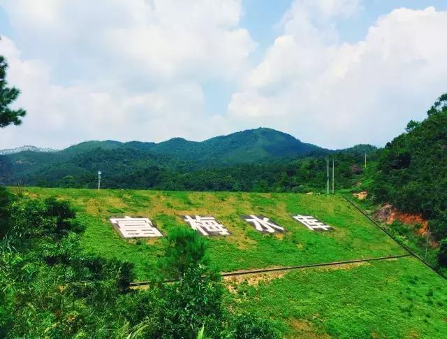 美丽陆河?上护|寄情田园风景感觉不一样的美