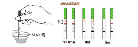 早孕试纸你用对了吗?