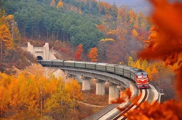 黑龙江的秋天每一次旅途都是一道亮丽的风景