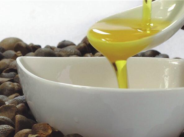广西山茶油: 健康好油 大山味道