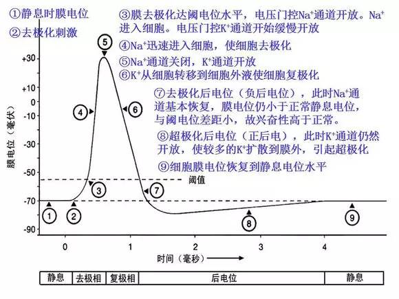 又来了浙大学长超详细分享生物学习攻略元素篇