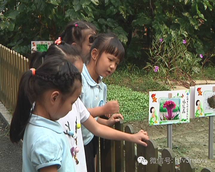 今日新闻丨杭州小学生学做小中医 感受传统中