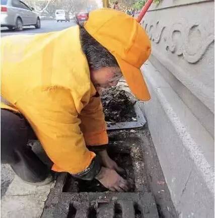 如果您有缘看到这些照片，太幸运了！