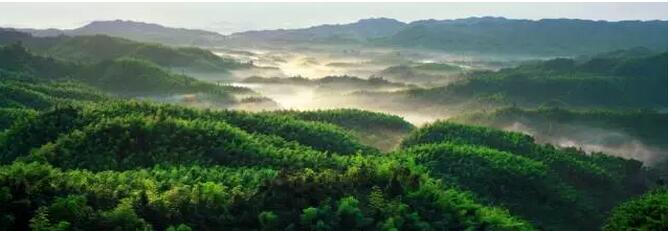 相邀走进蜀南竹海 揭开川南美景面纱