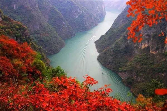 缩小招！湖北省旅游委推出40条乡村旅游线路