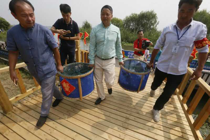 报码:【j2开奖】阳澄湖大闸蟹新鲜出湖 京东生鲜48小时送到家