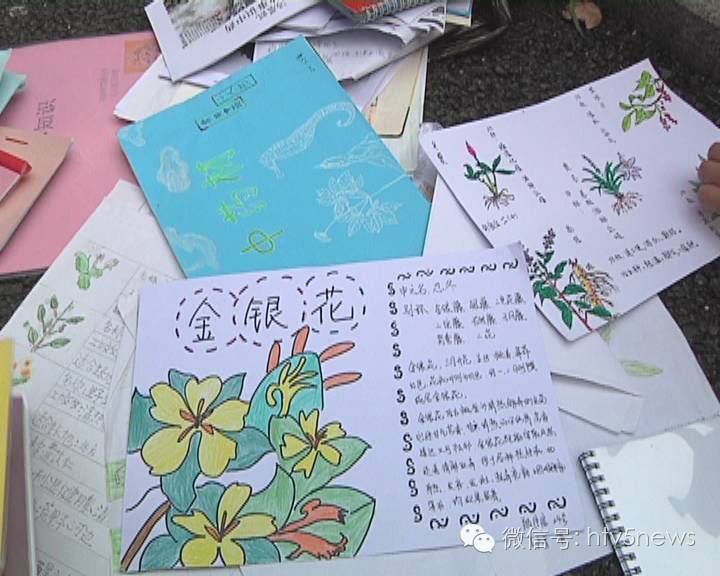 今日新闻丨杭州小学生学做"小中医" 感受传统中草药