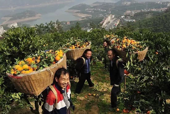 缩小招！湖北省旅游委推出40条乡村旅游线路
