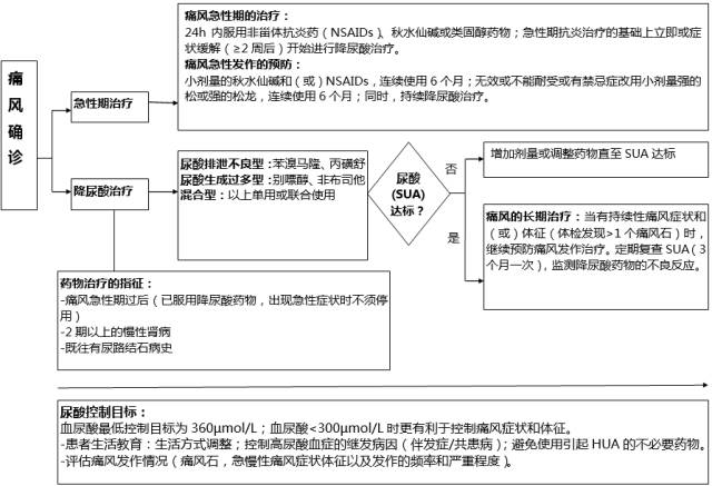 痛风,该如何治疗?