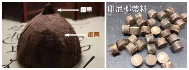 著名影星李连杰,歌星王菲   "椰蒂" 椰子最顶端中心部位,一个椰子