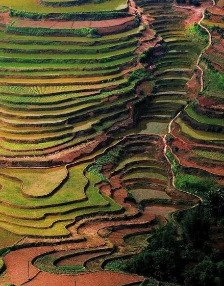 线路:贵阳—余庆—大乌江镇 黔南州惠水县摆榜梯田