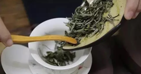 福鼎白茶：白牡丹的功能与饮用忌讳